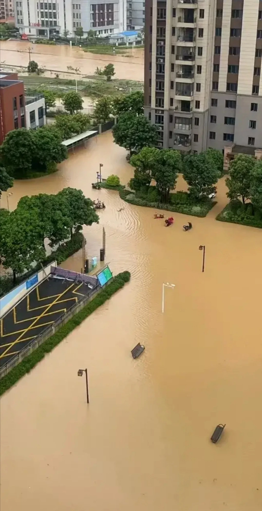 广州塔 1 小时内连续 6 次接闪电,有地方积水没脖行人