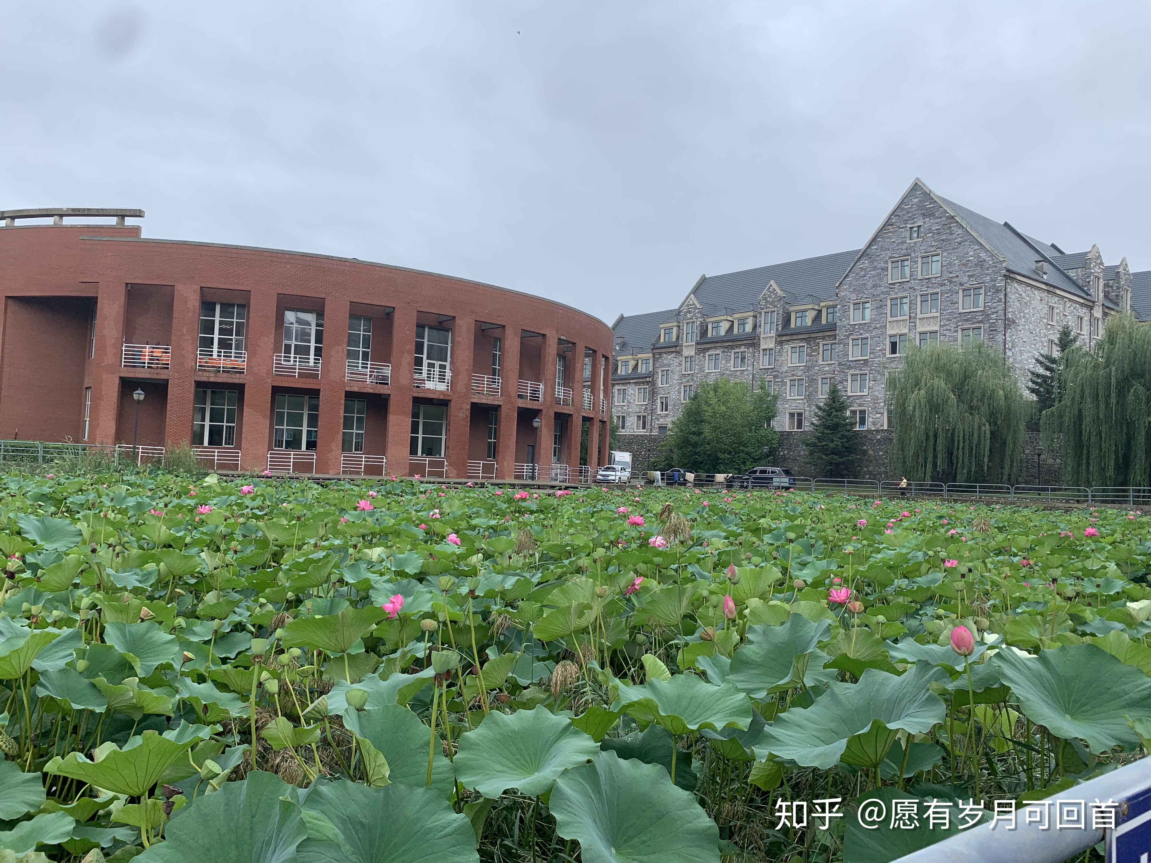 长春建筑学院升二本图片