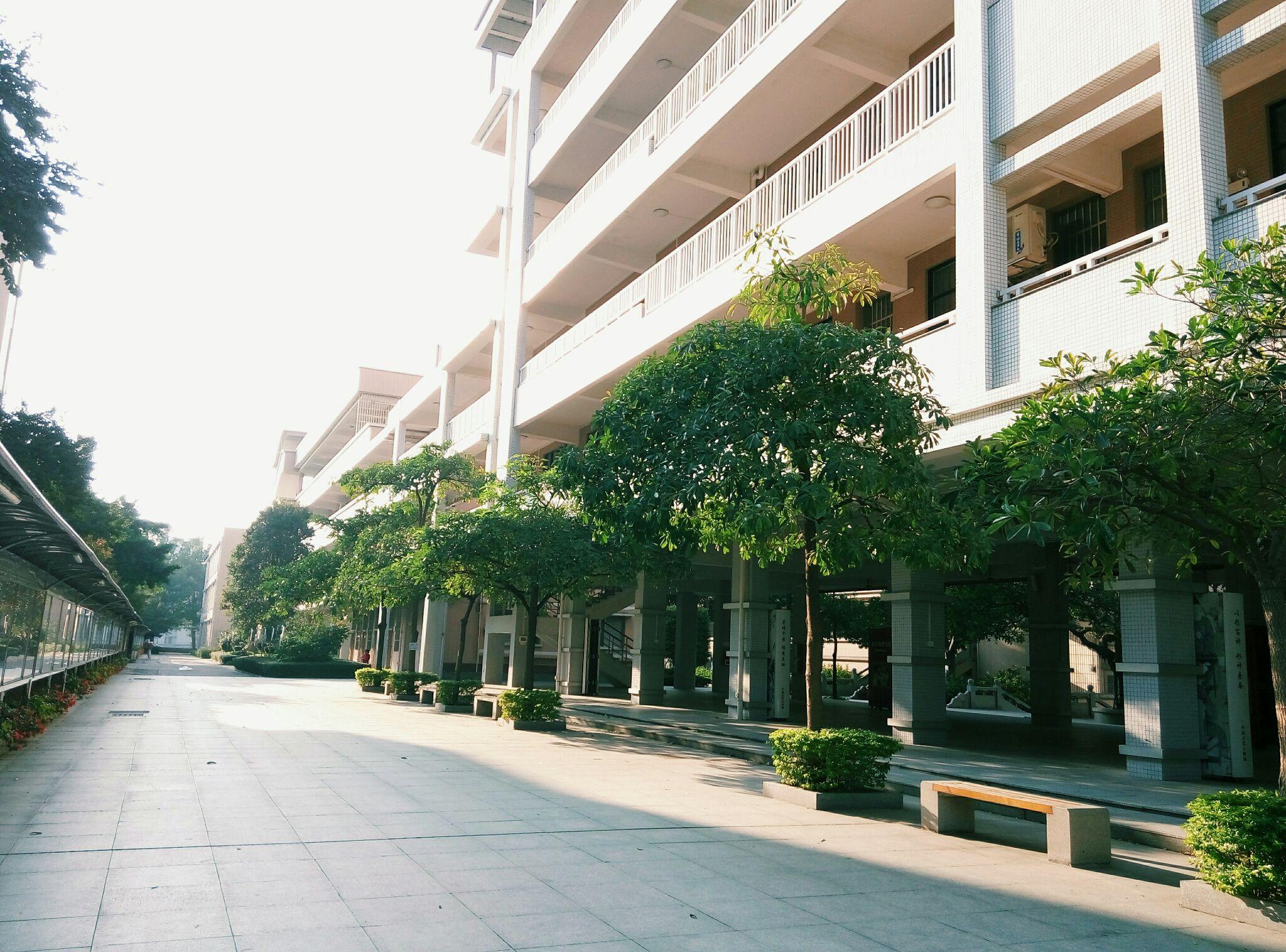 在鹤华中学就读是一种怎样的体验? - 知乎