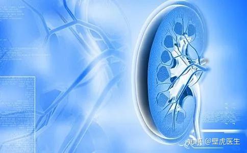 壁虎医生:肾移植手术后的管理与监测,应做到哪些才算合格? - 知乎