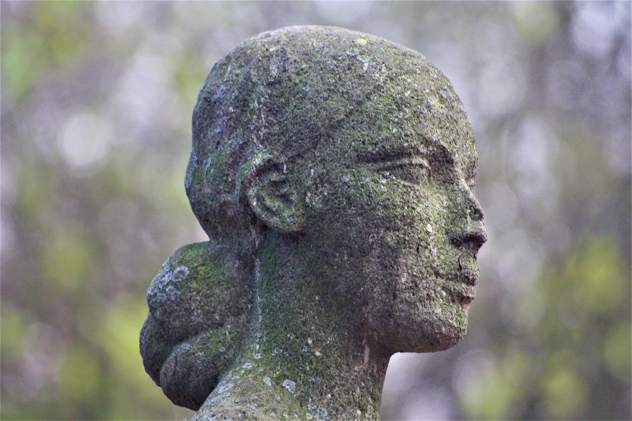 1. 雕塑泥土价格