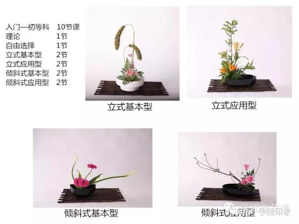 小原流蘭印象花道 课程设置 知乎