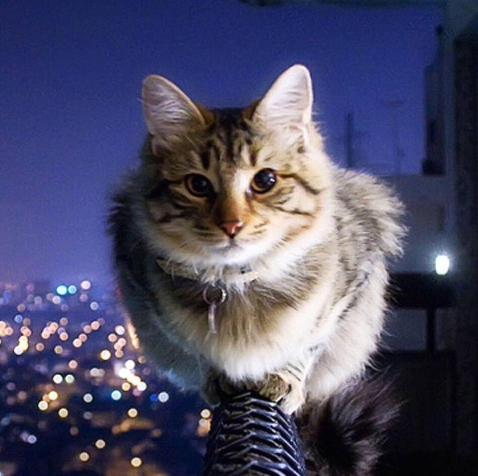 微信头像会影响第一印象吗?