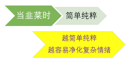 67小鱷魚從幾萬炒股炒到上億因大成前吃透4個字大成後死守2個字