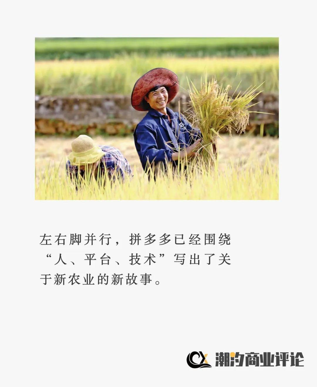 农业新质消费是指什么