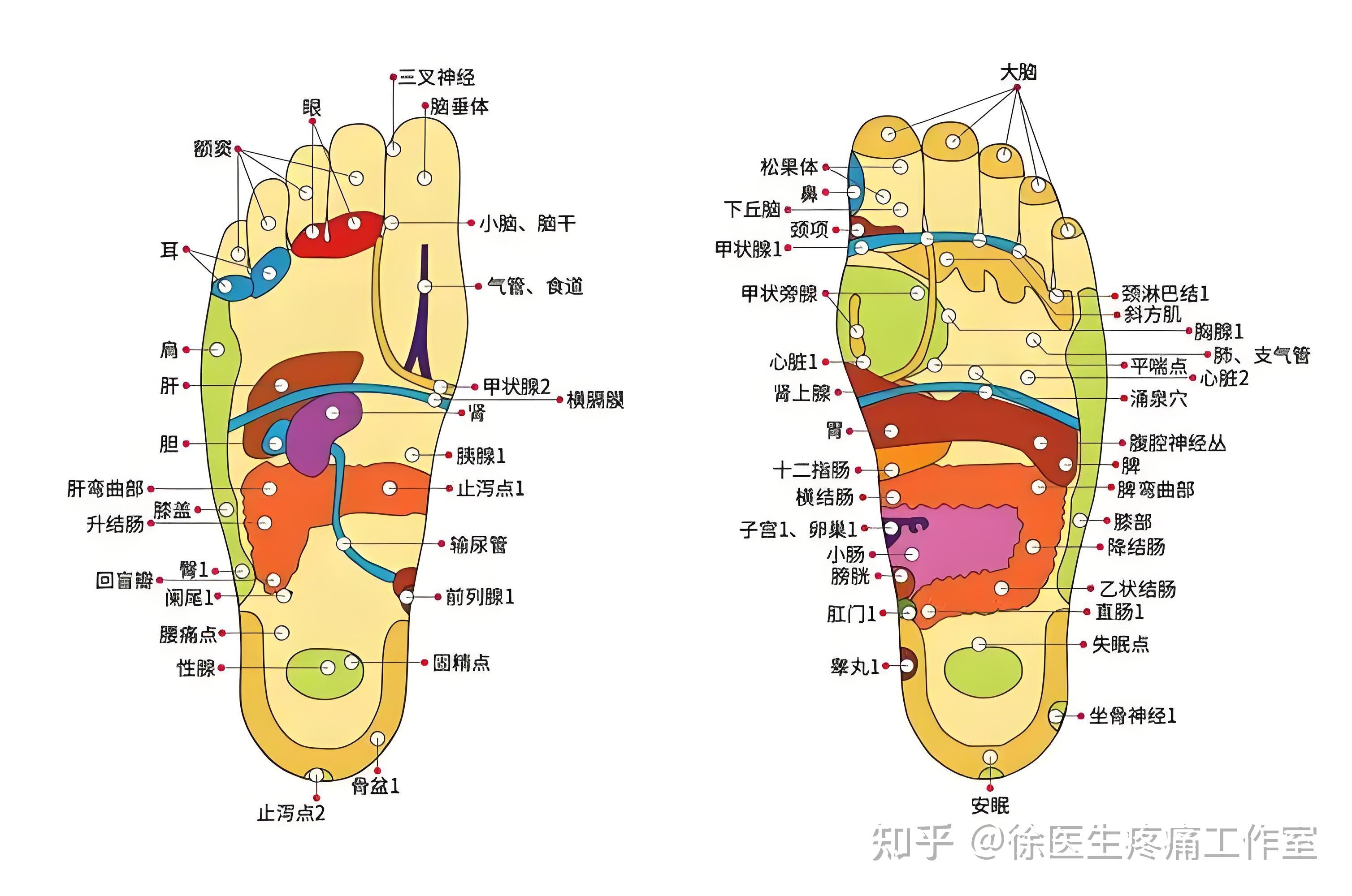 脚窝疼的位置图图片