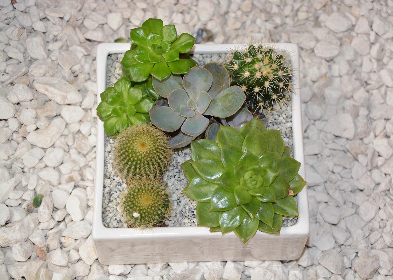 2. 避免直射阳光