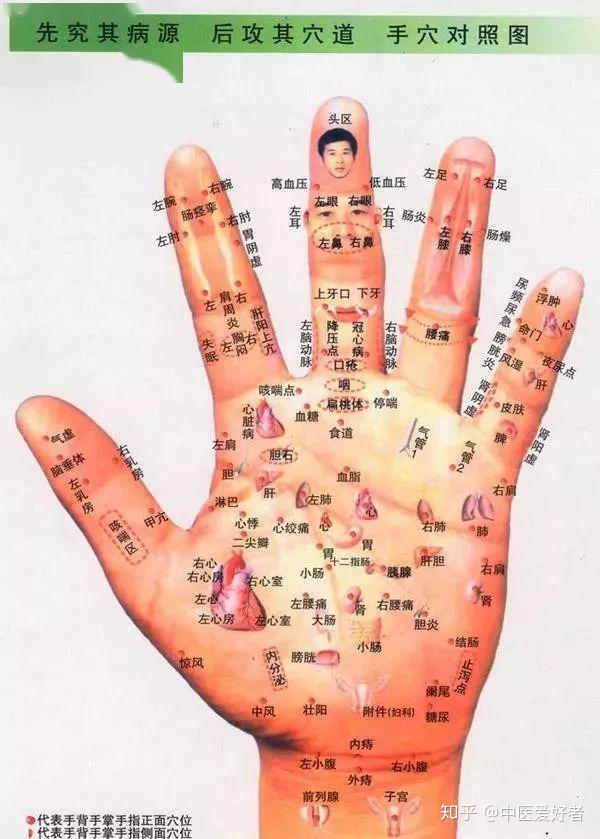 【干货】手诊百病解析图 - 知乎