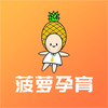 菠萝孕育