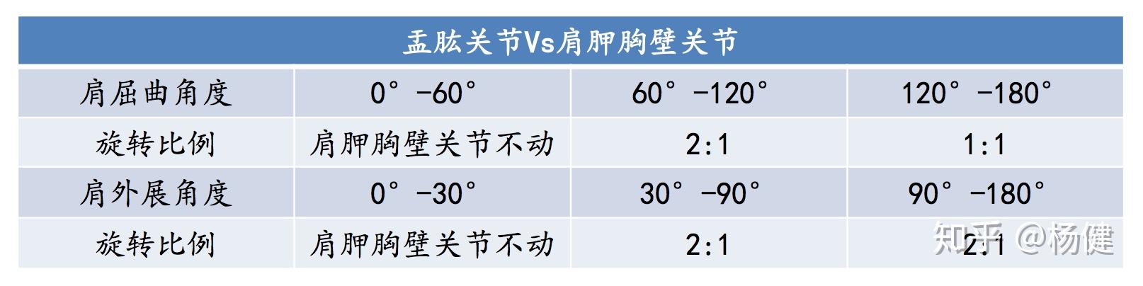 肩关节八个活动度图片