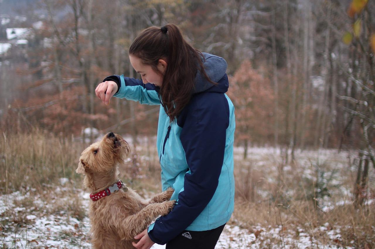 3. 光照需求分析