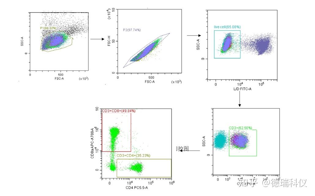 流式细胞仪-仪器知识 l 流式细胞术是什么? - 知乎