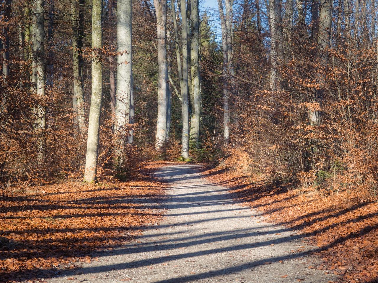 2. 房价走势解读