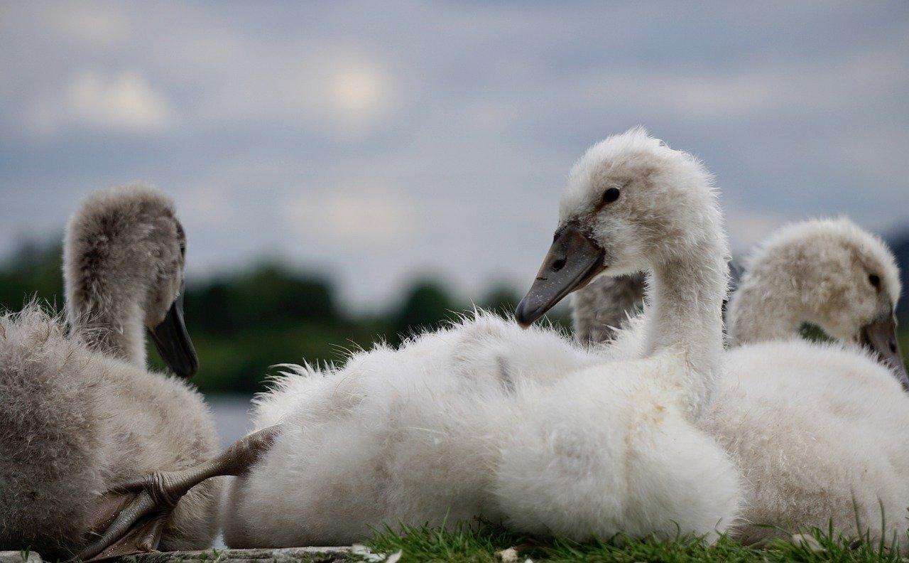 3. 安全注意事项