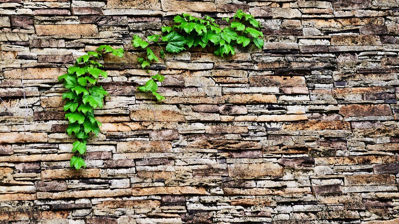 4. 良好排水条件