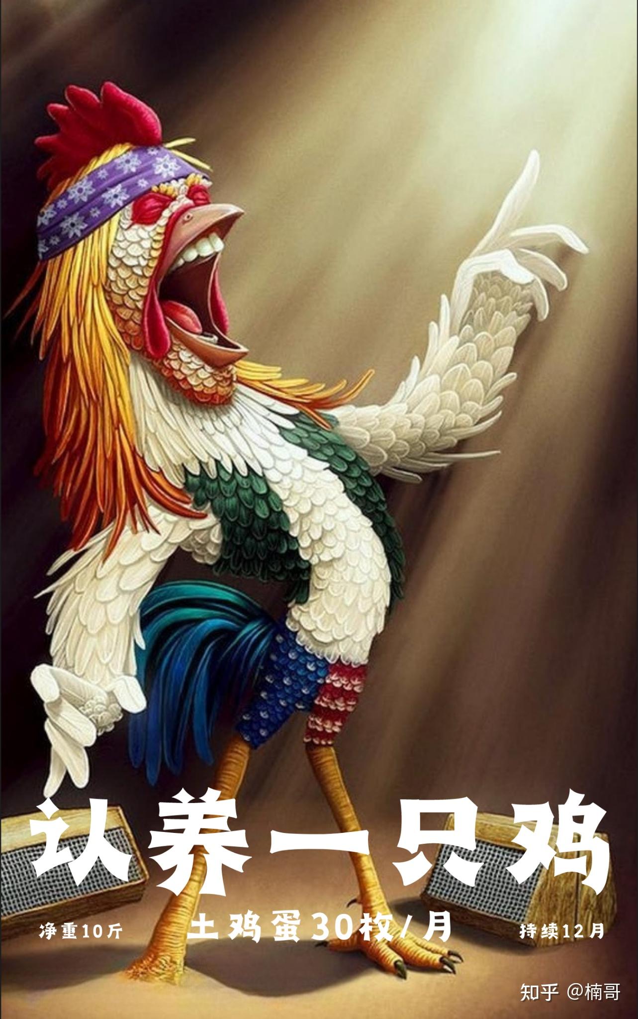 你愿意认养一只鸡吗? - 知乎