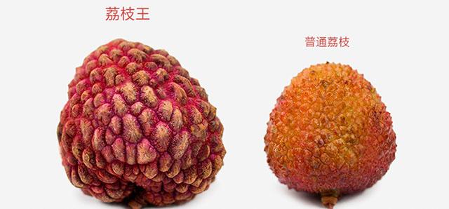 口感不如妃子笑的荔枝王，卖高价还是供不应求，它真的好吃吗？ - 知乎