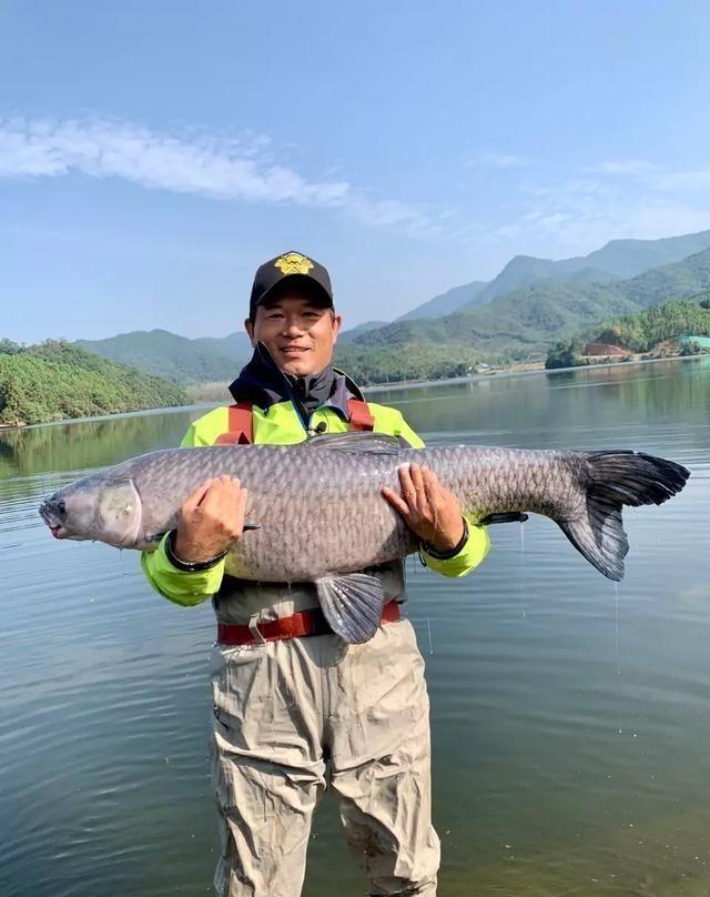 令邓刚火出圈的是今年5月份开始盘老板,钓鸡,钓鸭