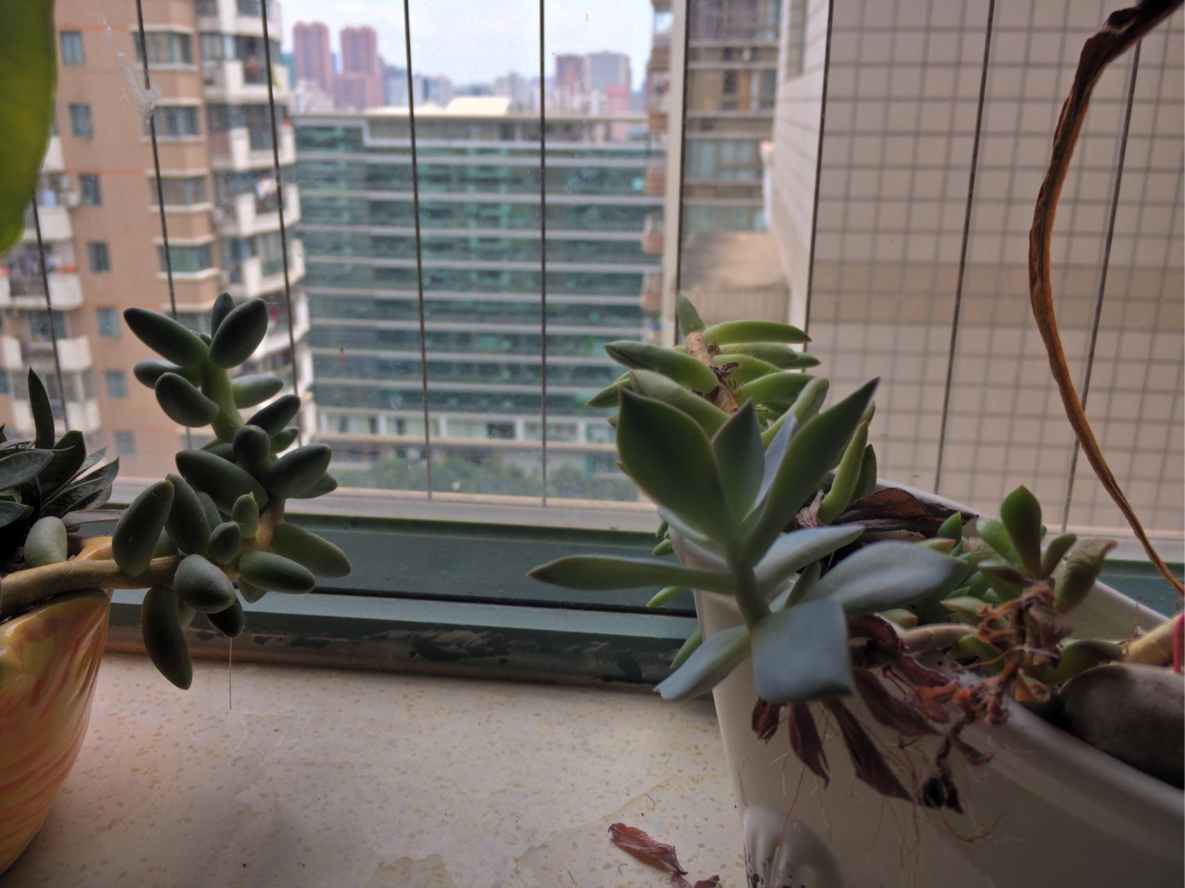 有没有什么比较好用的相机app软件?