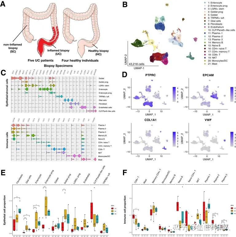 9+：单细胞测序+GWAS，来看看土豪课题组是如何活用单细胞技术的 - 知乎