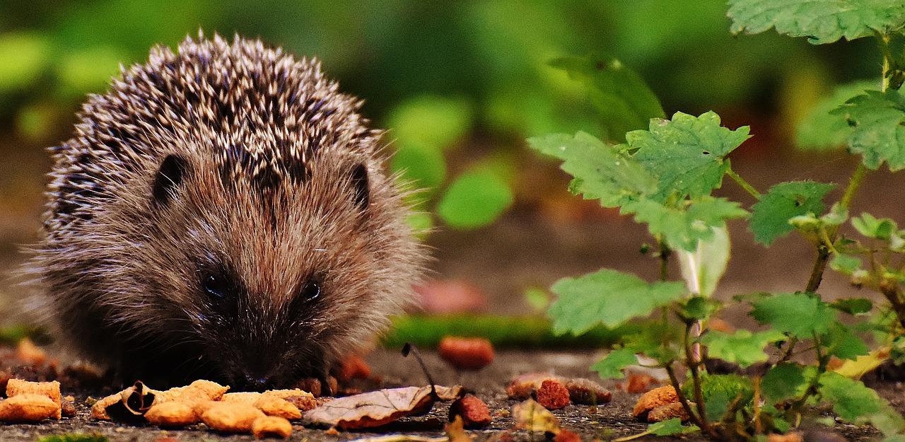 智能家居系统介绍