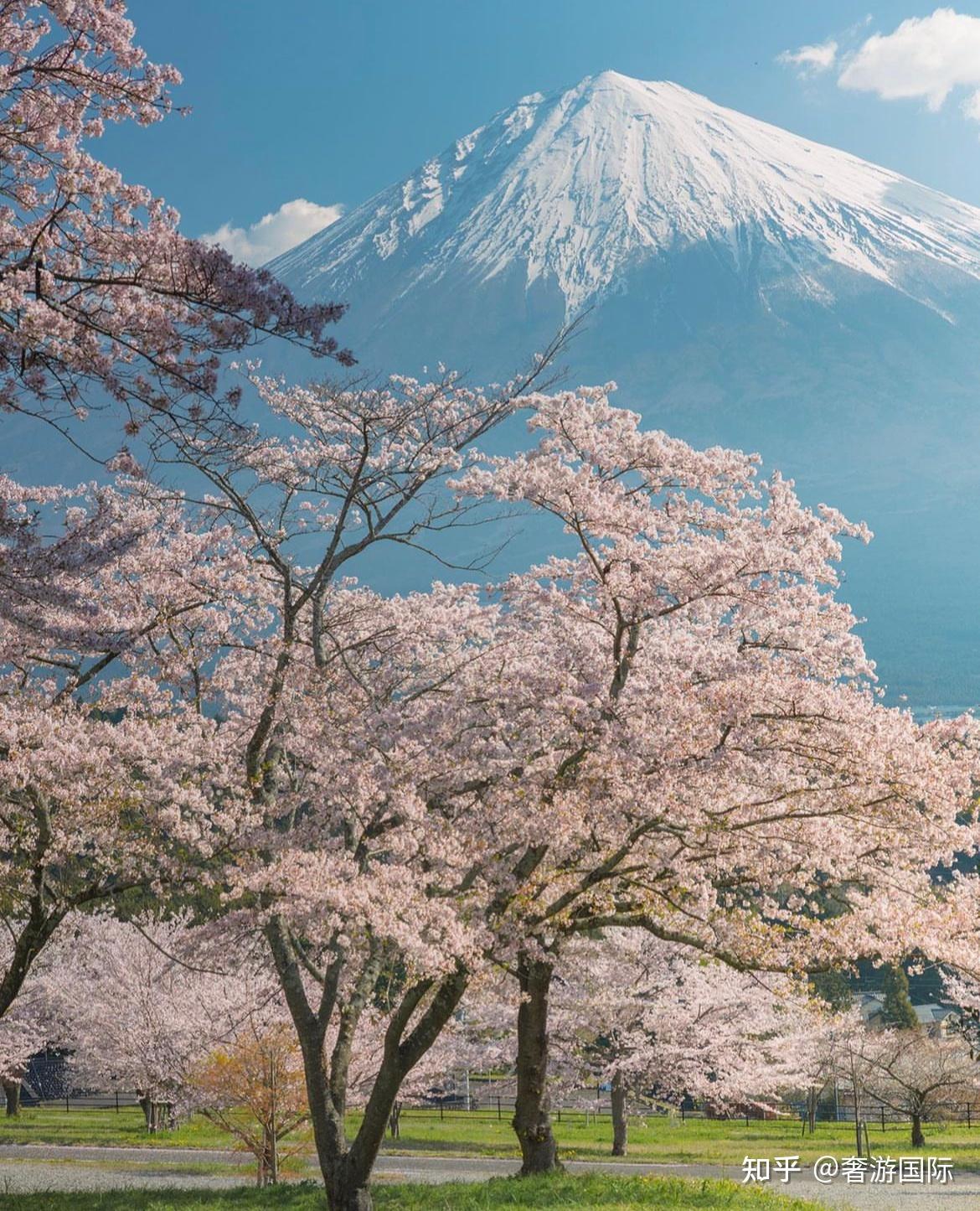 日本富士山赏景有哪些必打卡景点