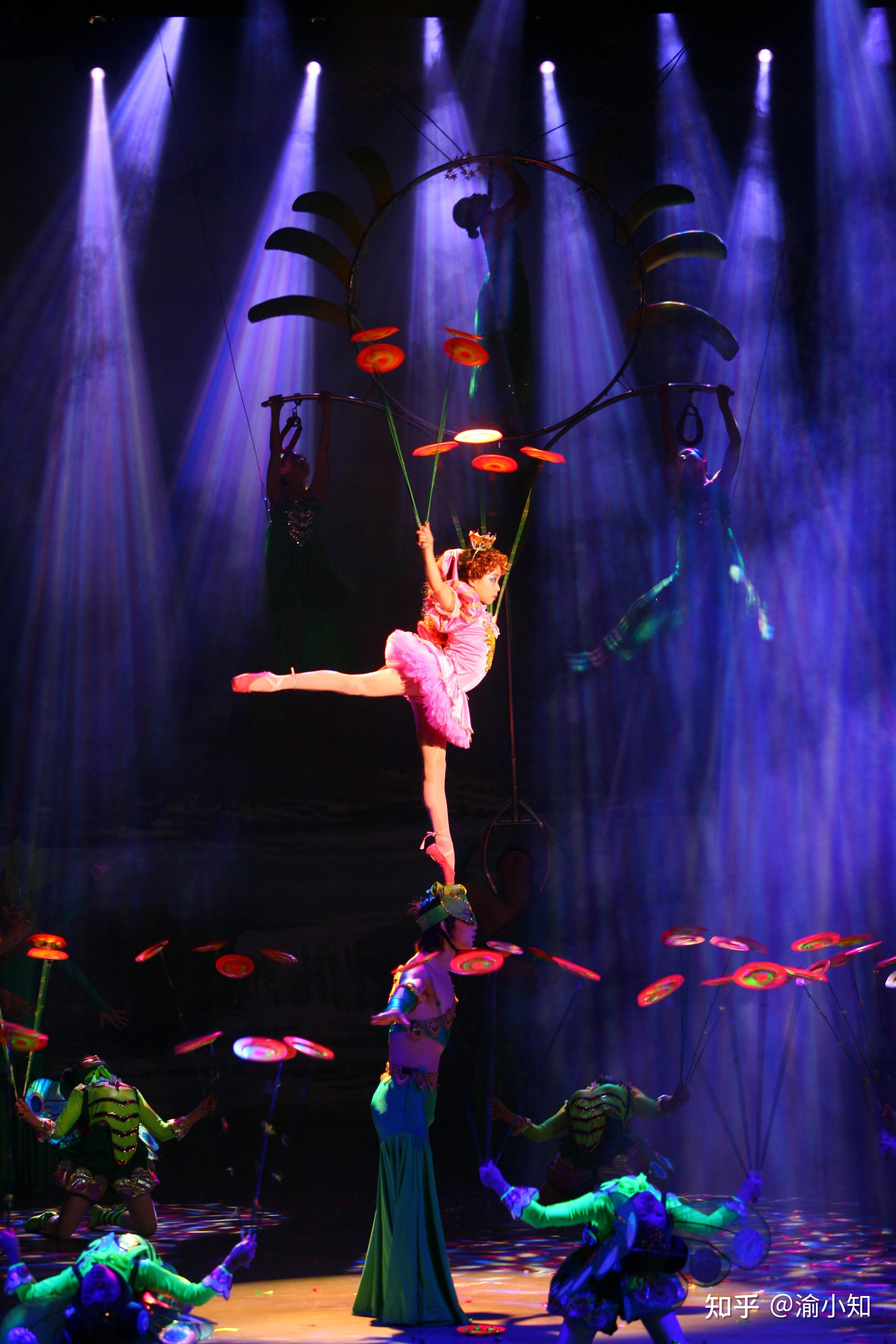 专访全国文化和旅游系统劳动模范陈涛 - 知乎