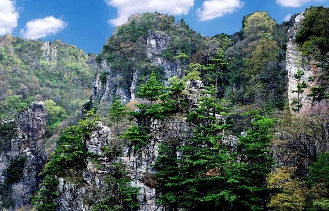 v2-29e2f8f3cded548aa42eaf824a1350b7_1440w.jpg?source=172ae18b