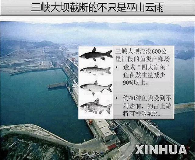 三峡大坝鱼道示意图图片
