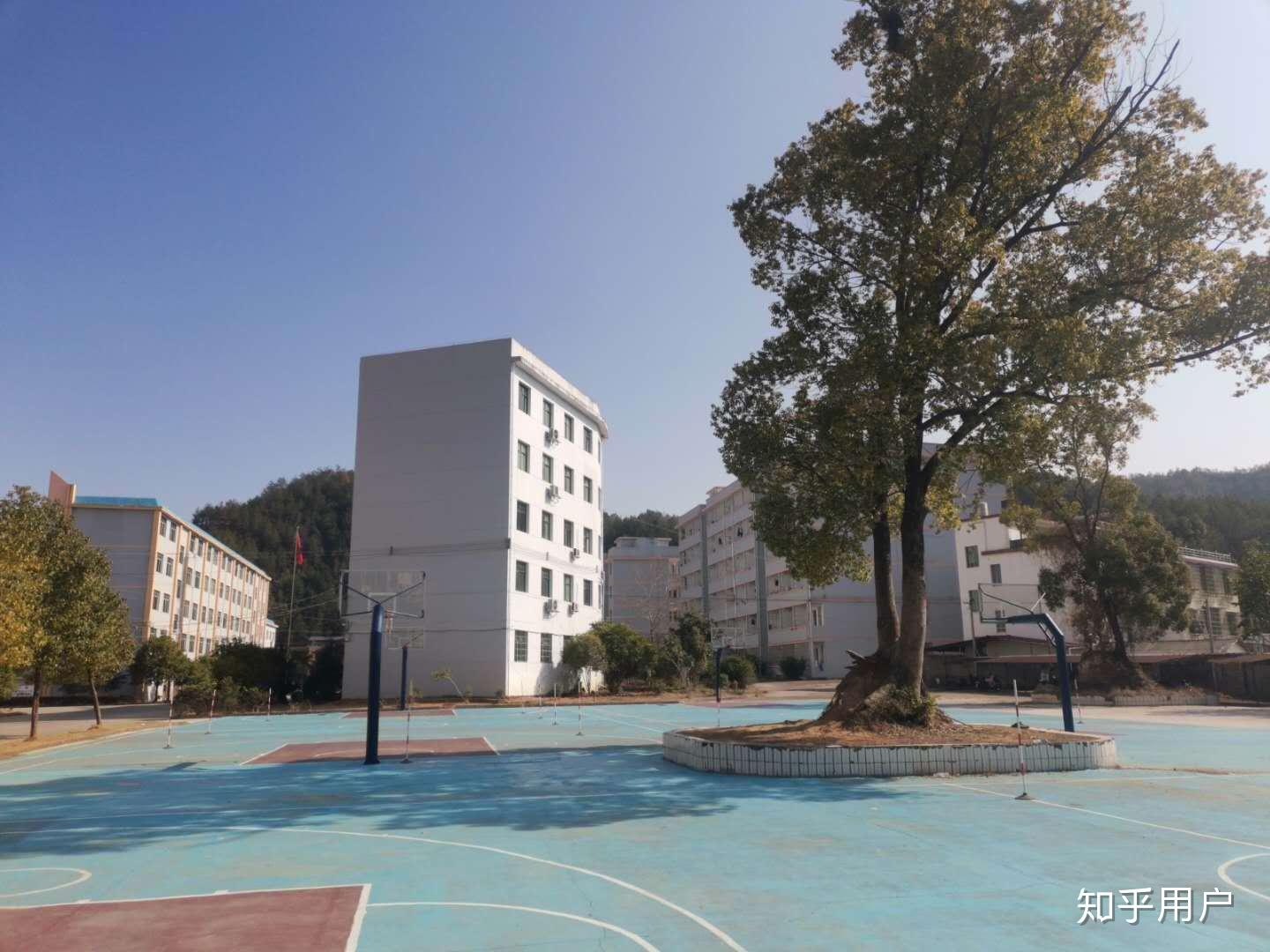 上犹三中的环境怎么样?