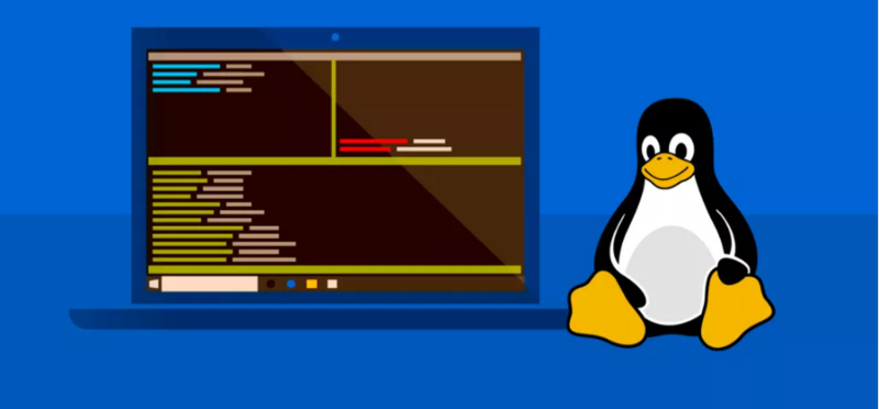 bash awk sed grep tutorial bash awk sed grep tutorial