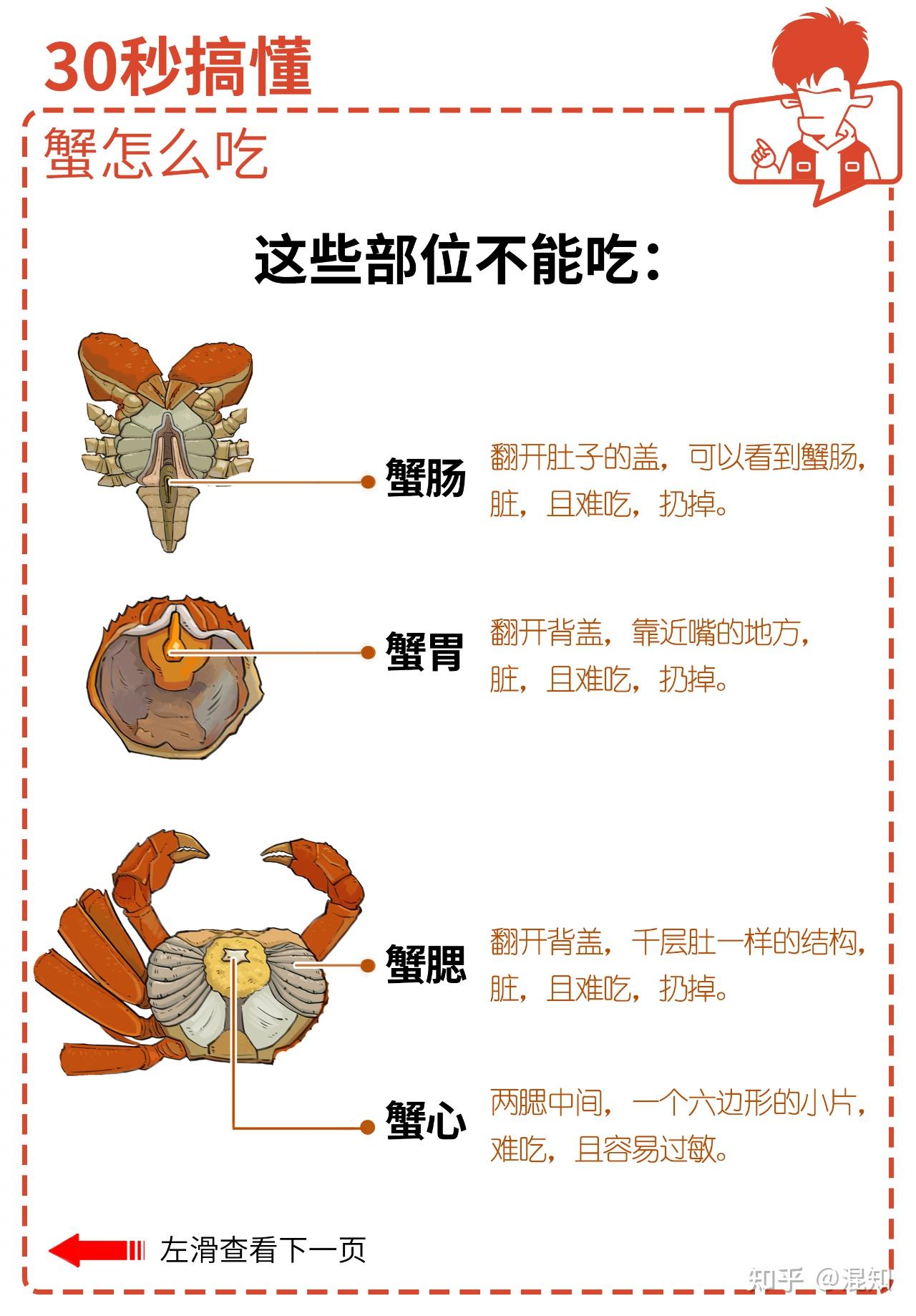 大闸蟹吃法剥法步骤图图片