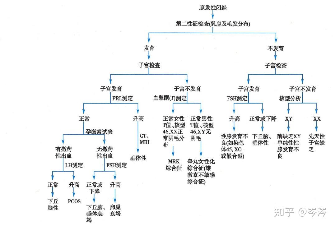 为什么会产生「闭经」现象，身体影响有哪些？ - 知乎