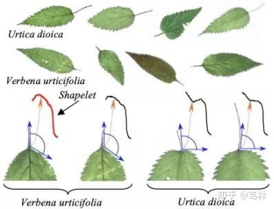 Shapelet : 一种象形化的时间序列特征提取方法 Shapelet : 一种象形化的时间序列特征提取方法