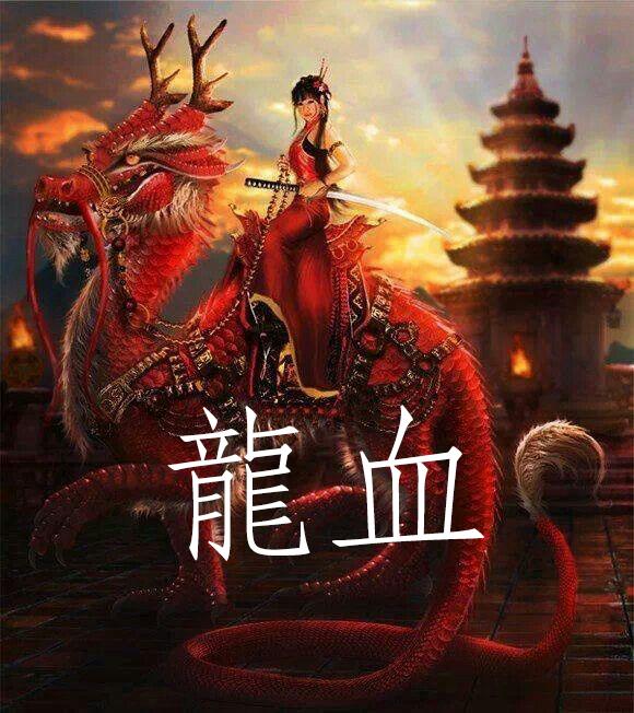 龙血下群主的传奇人生1002章下