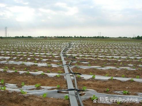 知识分享丨选择灌溉系统需要考虑什么，条件是什么，有哪些问题？ - 知乎