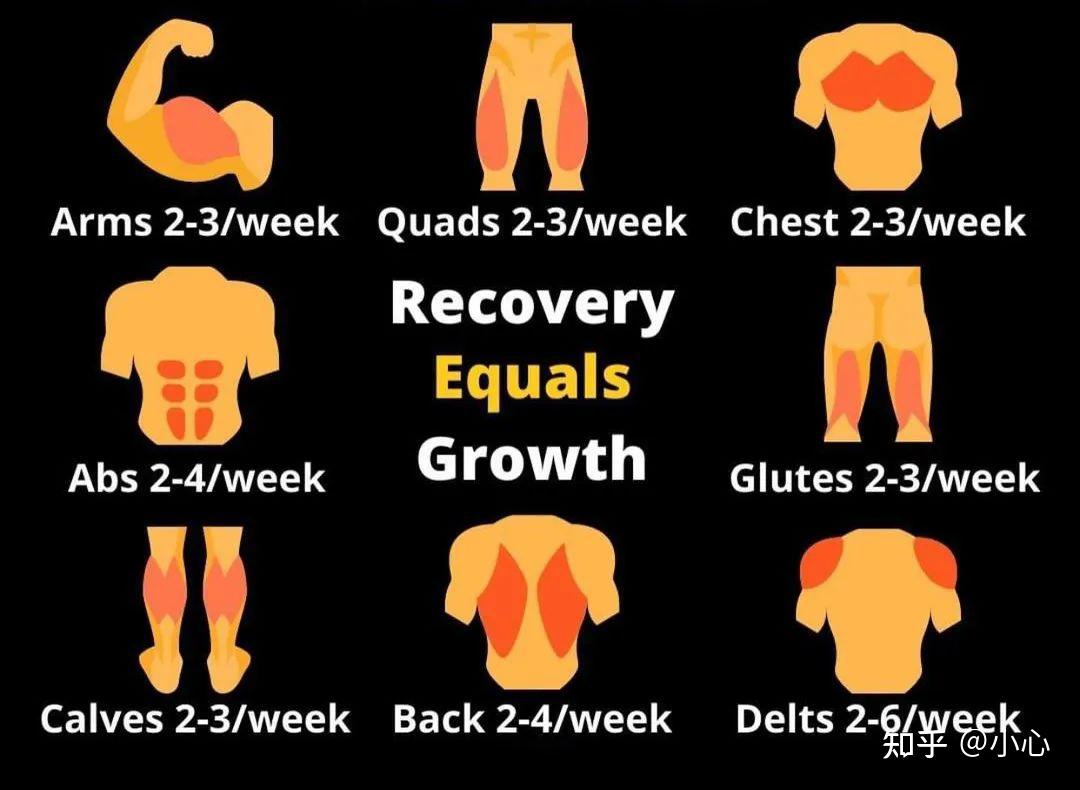 健身训练营 - 知乎