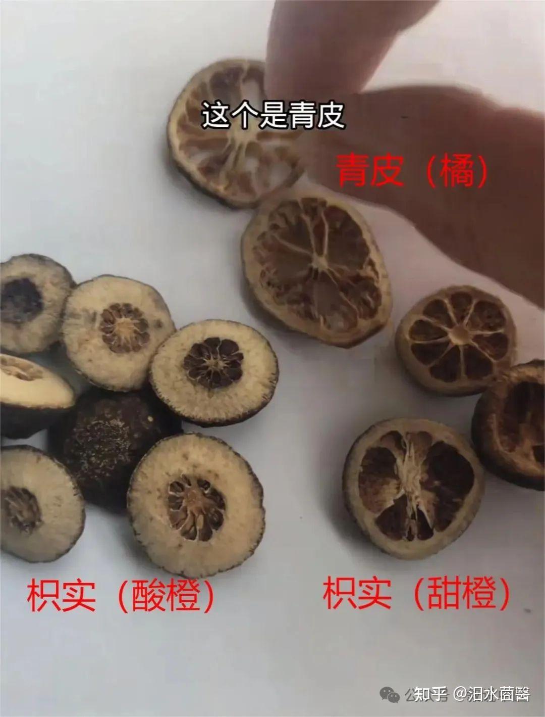 中药界的亲兄弟——枳实、枳壳药性分析 - 知乎