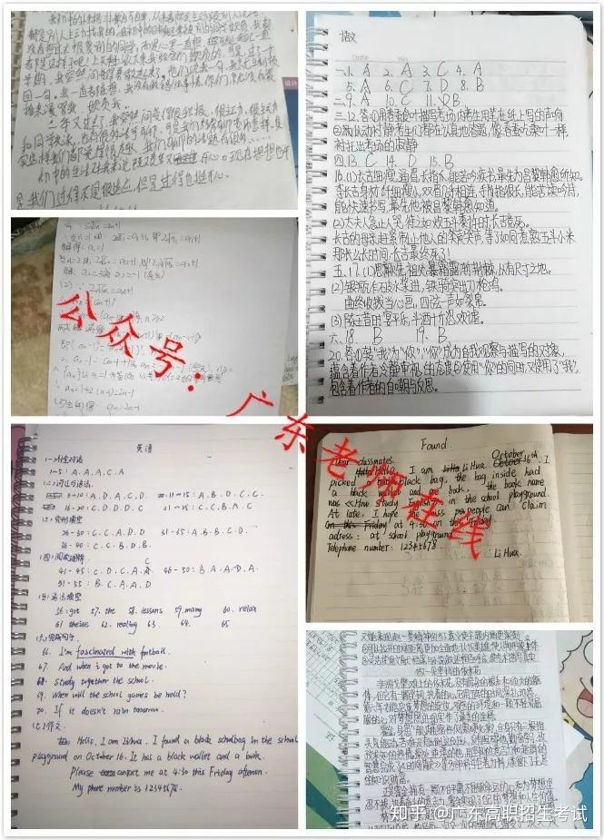 v2-2a118baa40488027cd04cb4332e4db50_r.jpg