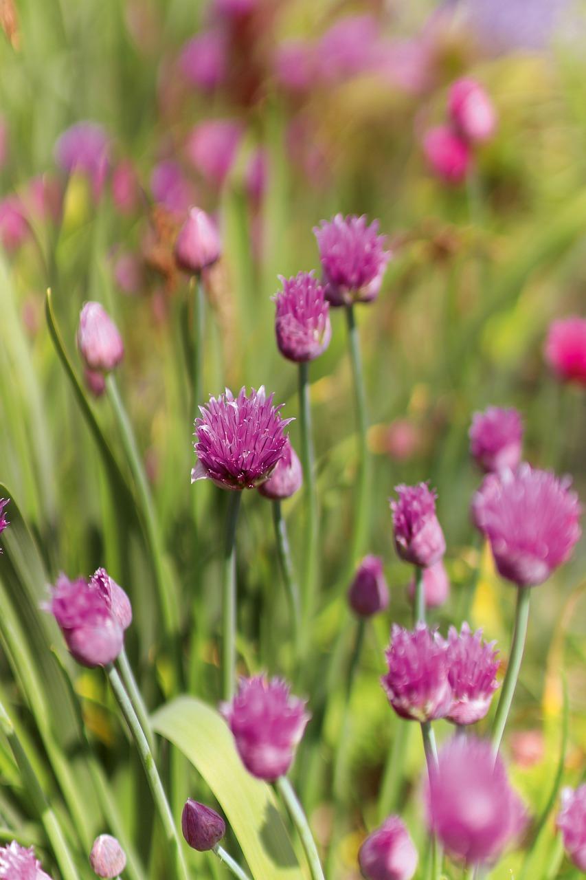 1. 精致户型设计