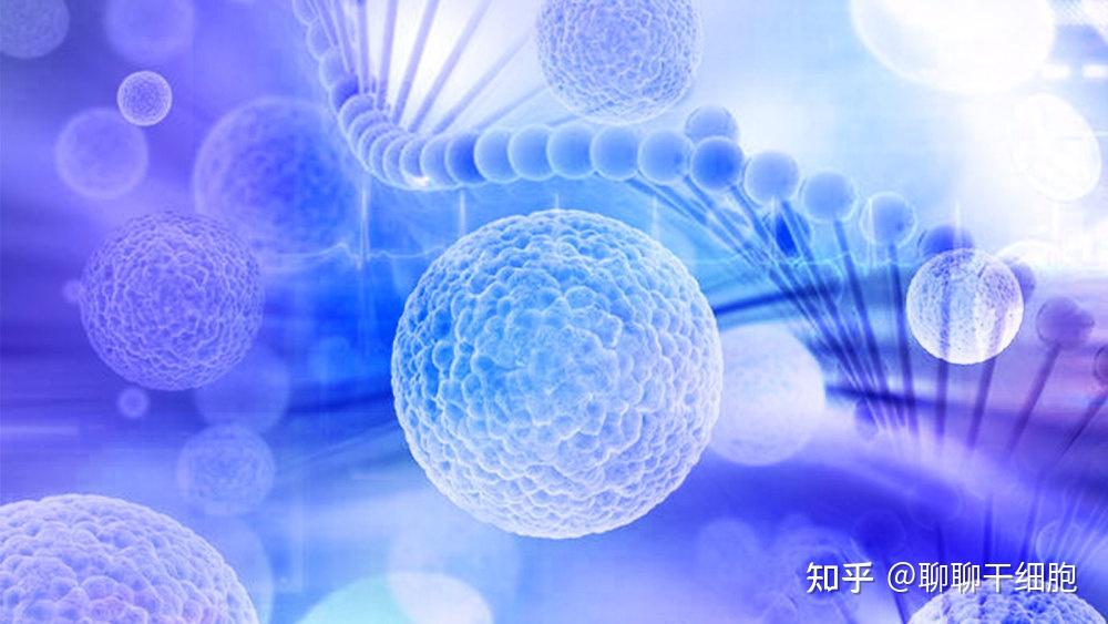 一篇文告诉你什么是种子细胞库! - 知乎