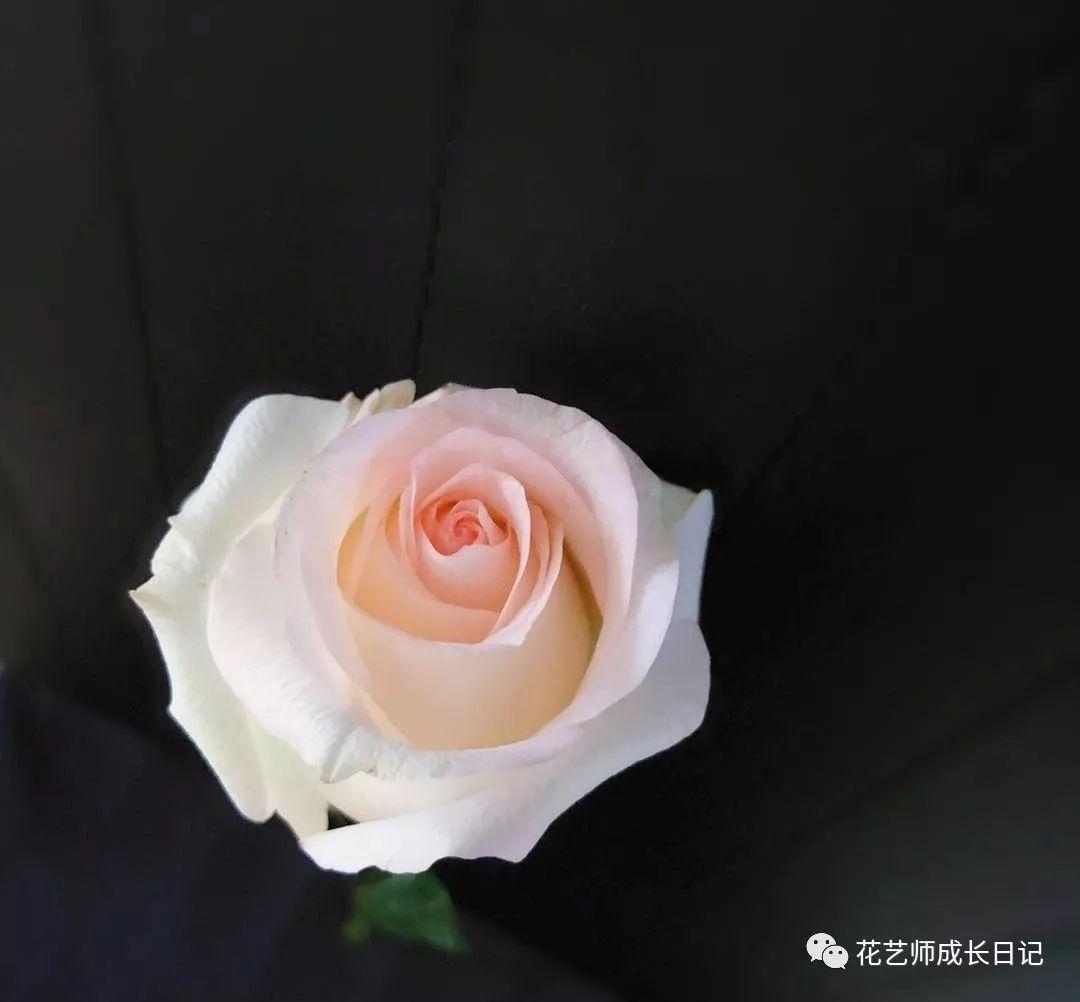 v2-2a325f6e4ef14276af0ade148293402c_r.jpg