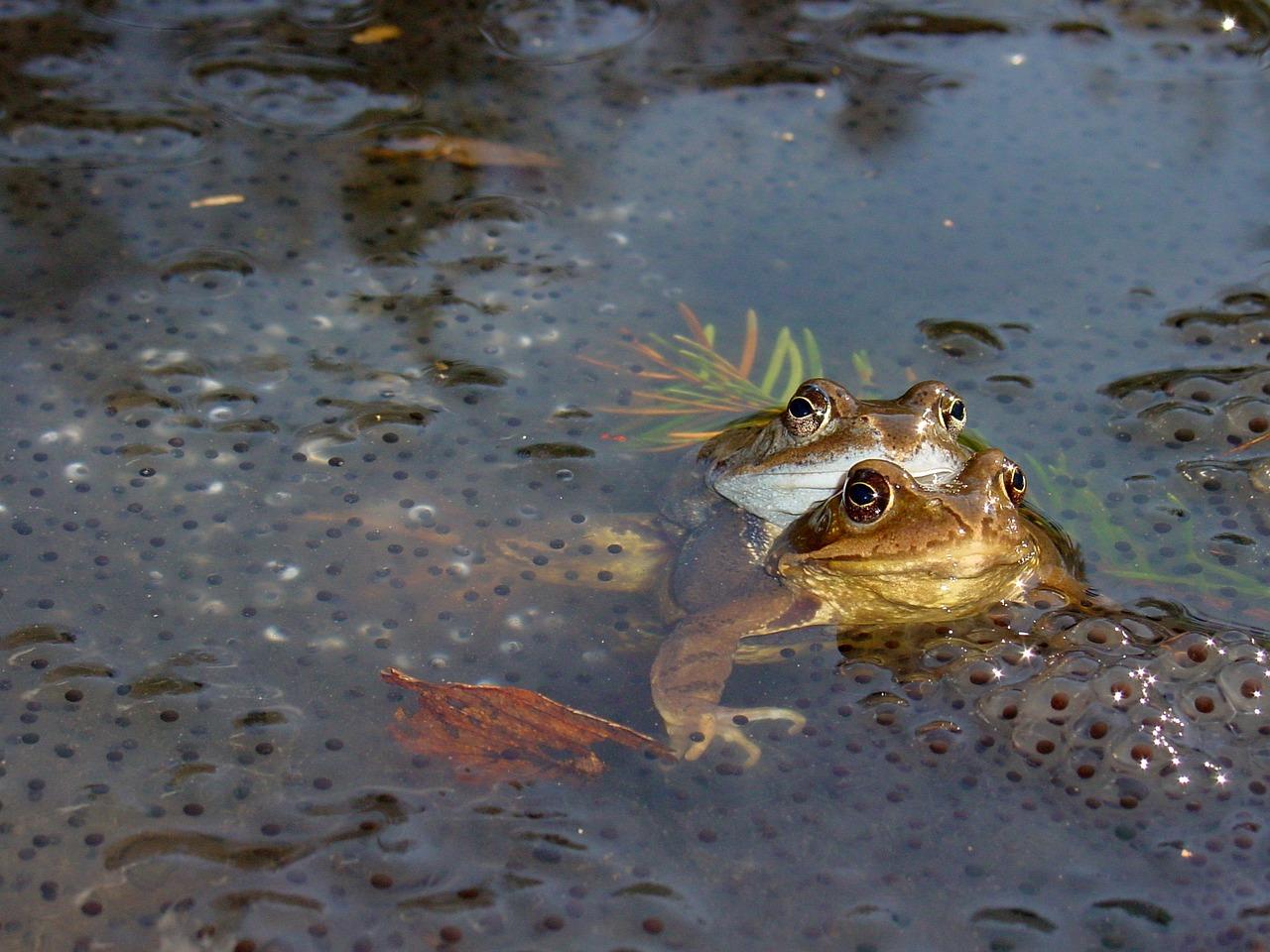 2. 冷水坑周边配套
