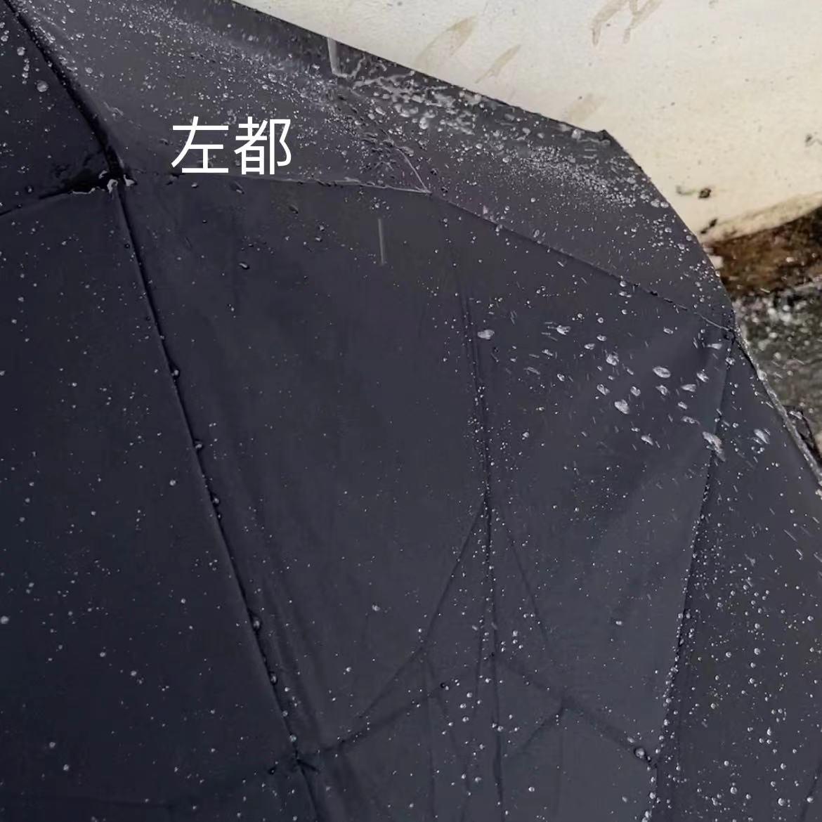 2024年雨伞选购攻略!雨伞要怎么选?什么牌子好?附蕉下、SUNSKIP阳光跳跃、天堂、左都等实拍测评!好用的是这两把