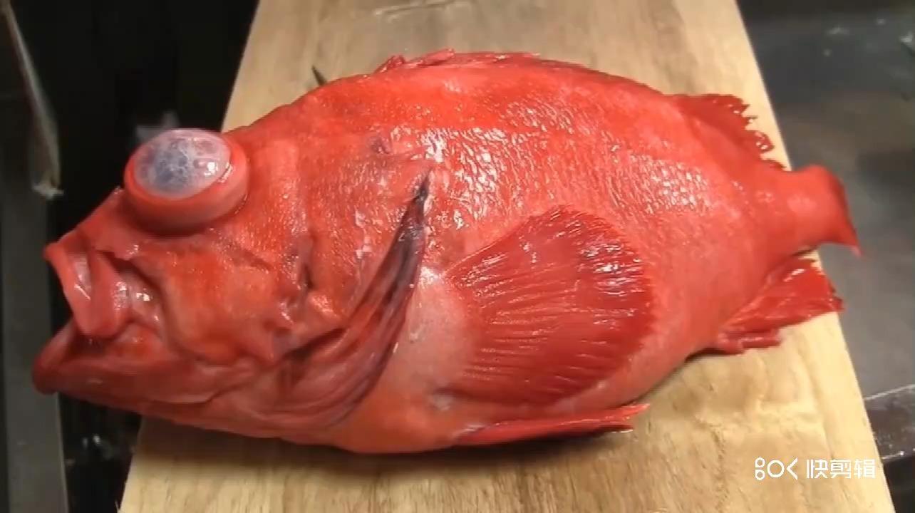 生鱼片鱼类原生鱼日本料理寿司相关推荐 13:44岩鱼是如何做成刺身的?