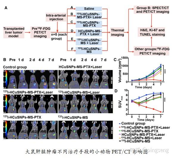 小动物PET/CT在肿瘤模型及疗效评价方面的应用 - 知乎