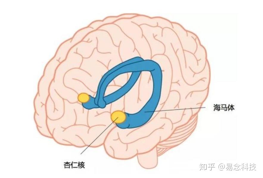 正念冥想对身心有益的科学依据二