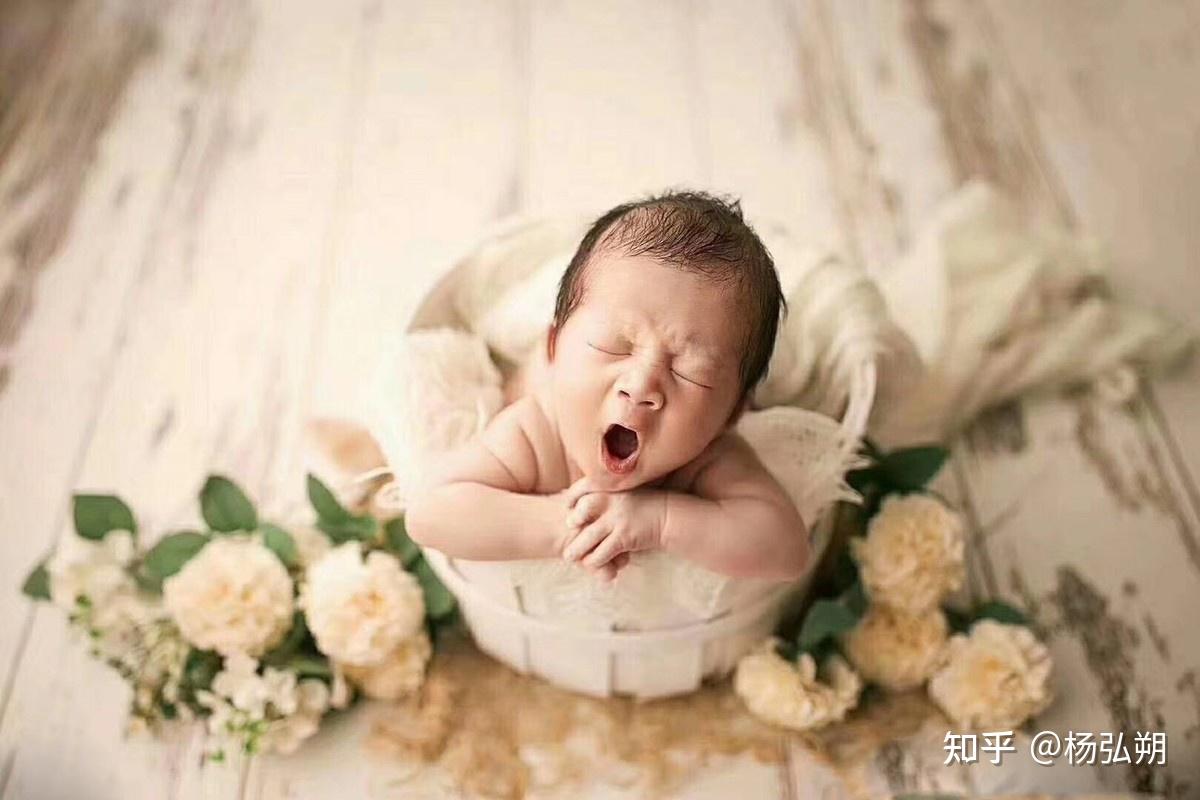 陶姓起名字大全陶姓起名 知乎