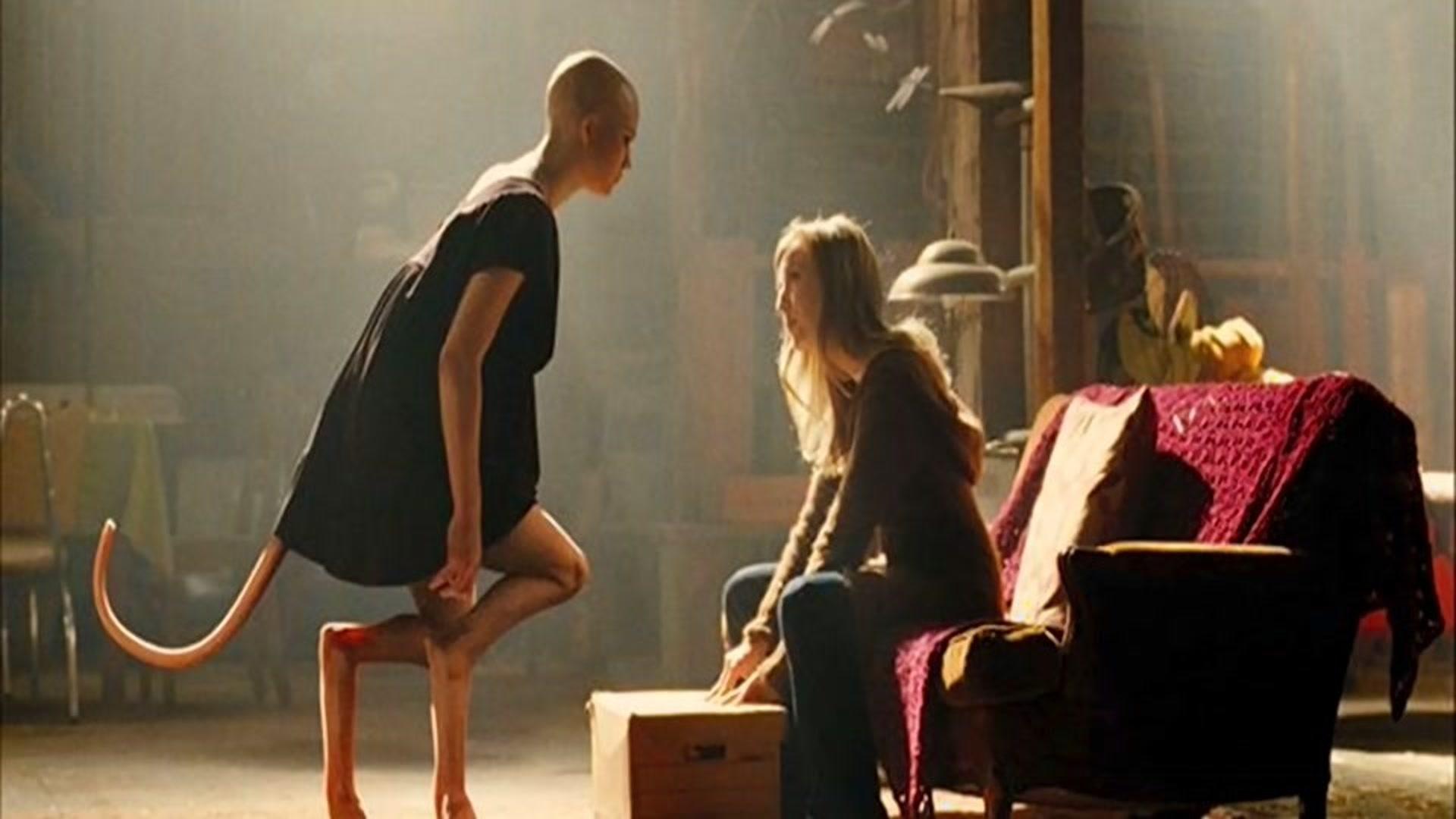 男子买了个动物园却不会管理时常会有动物跑出来