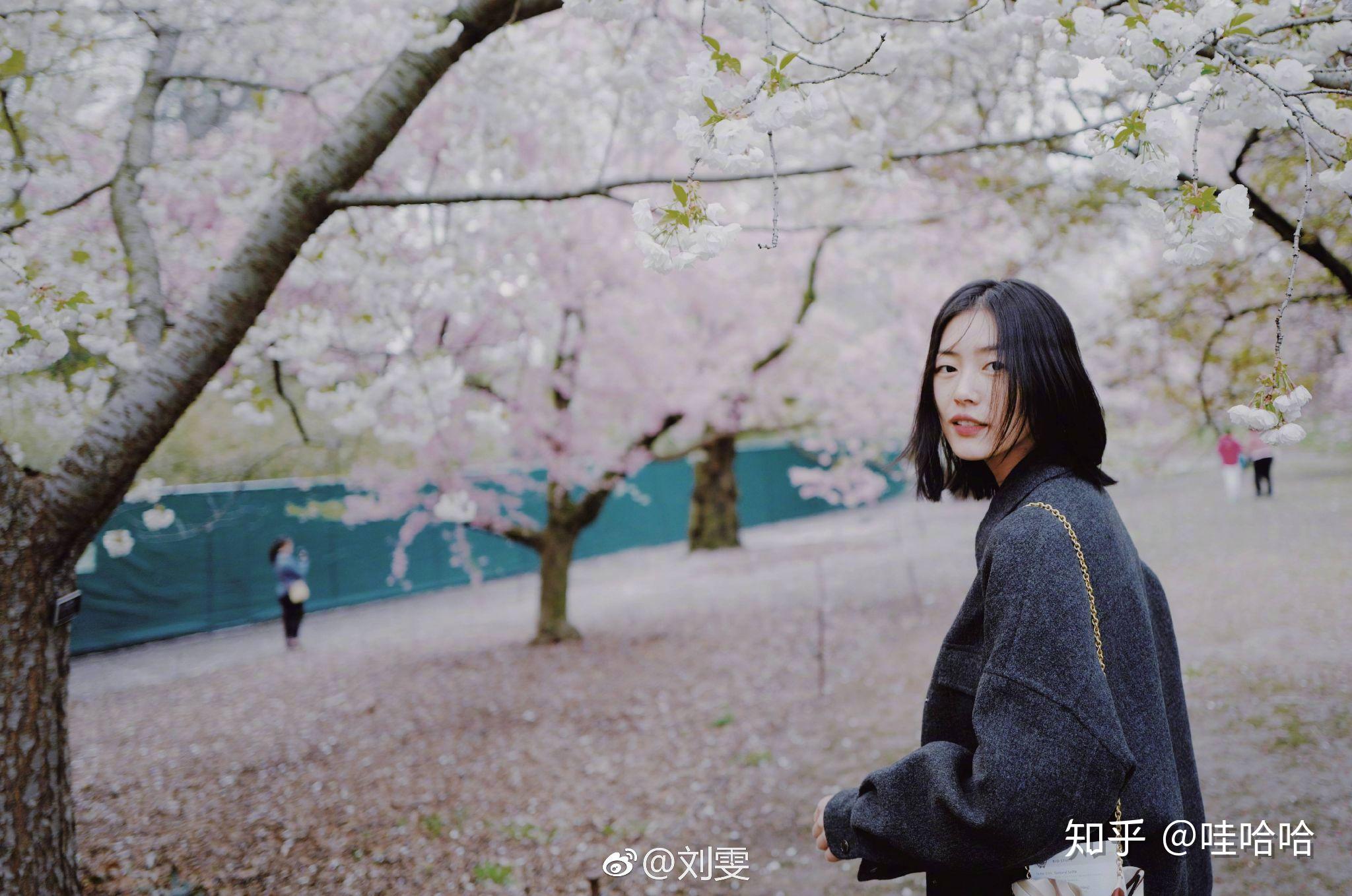 有哪些好看的粉色系壁纸?